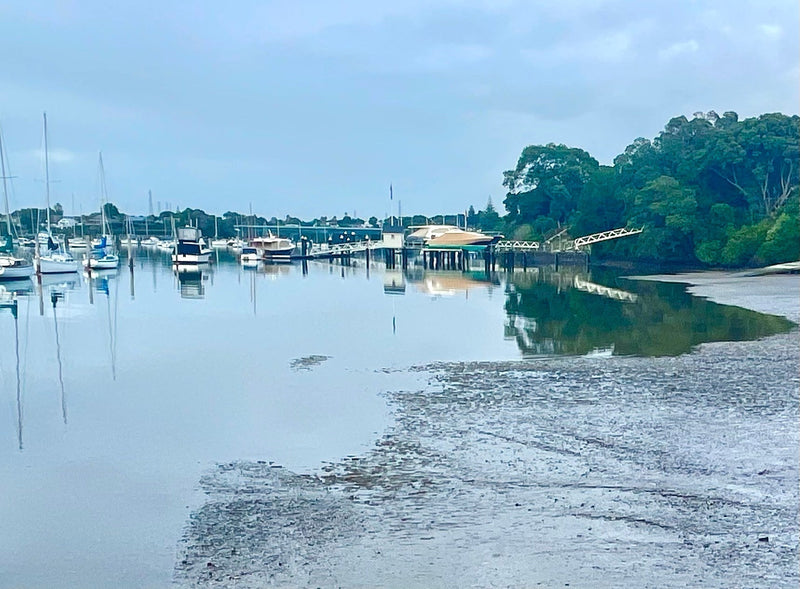 The Art of Wading and Floundering On Micro Softbaits in New Zealand