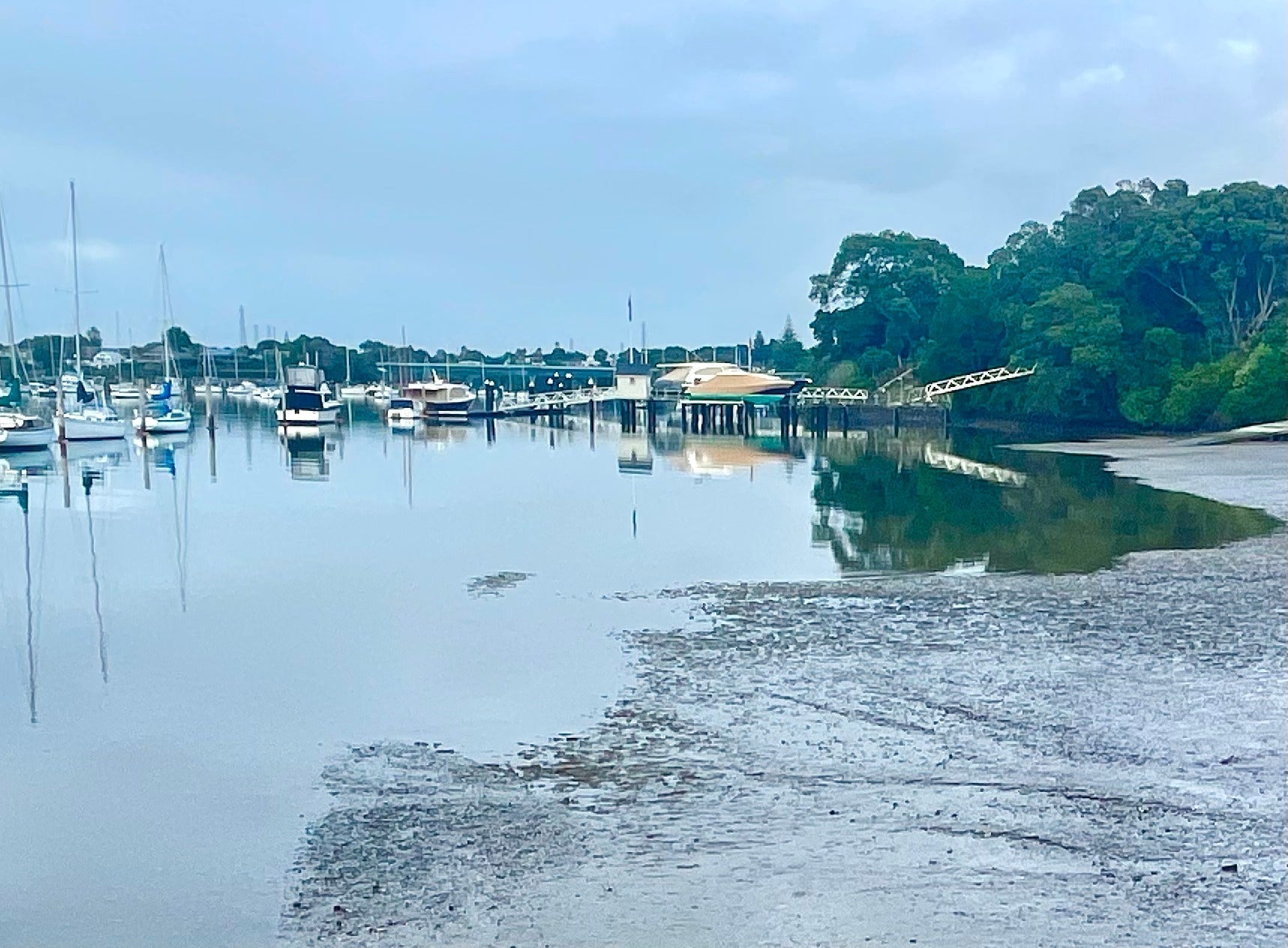 The Art of Wading and Floundering On Micro Softbaits in New Zealand