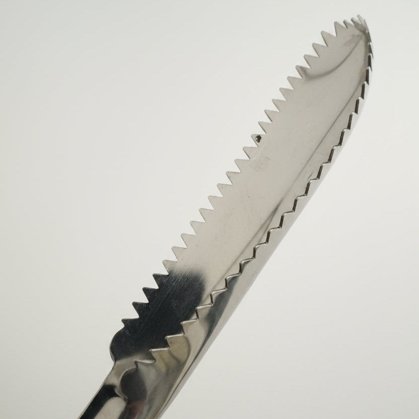 Salt-tough One-piece Stainless Fish Scaler