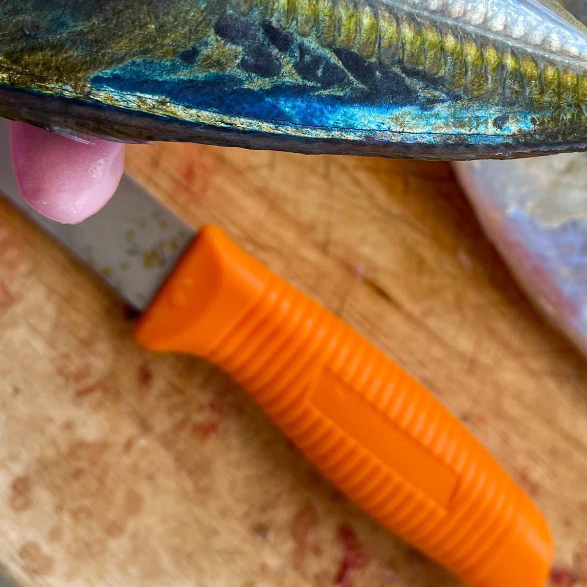 Floating Utility Knife with Sheath