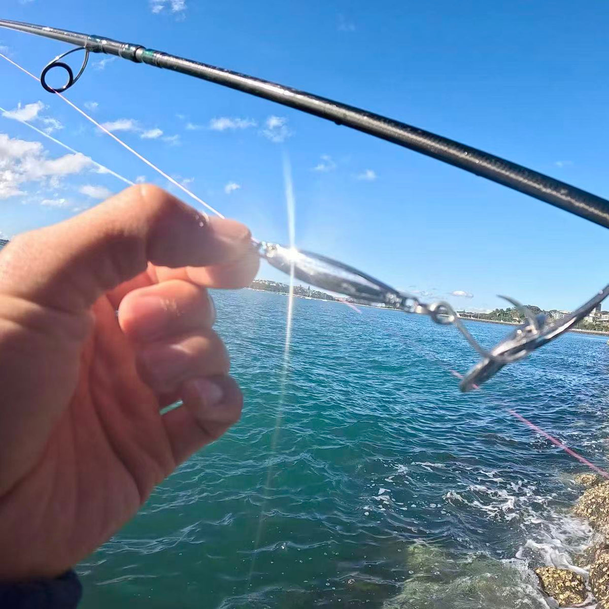 Anchovy Hunter - Kahawai