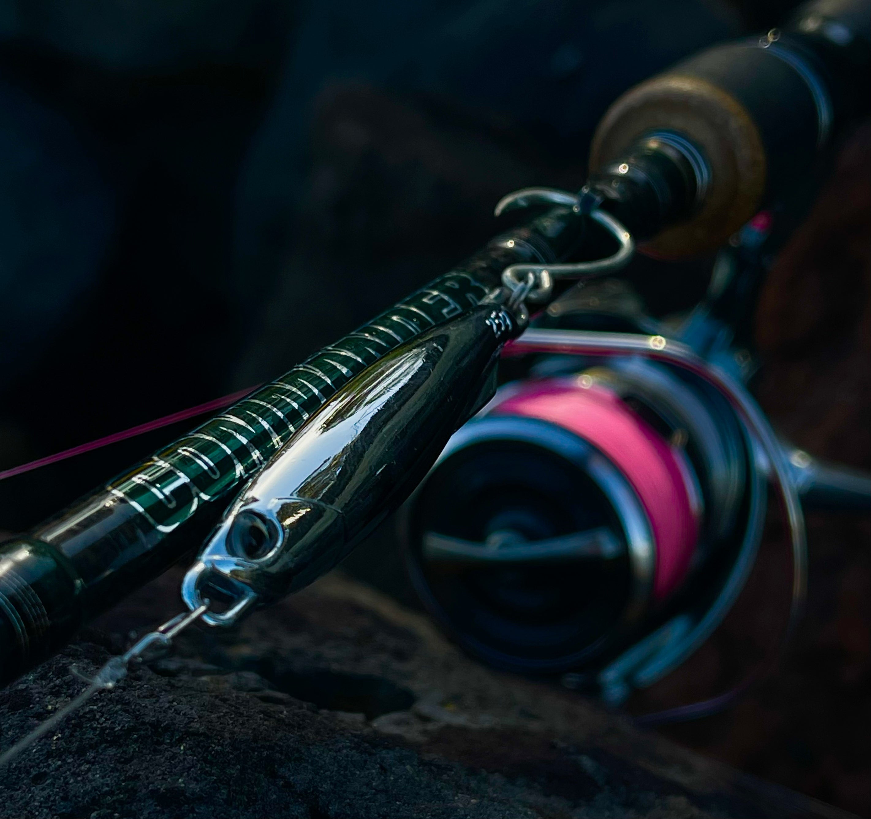 Anchovy Hunter