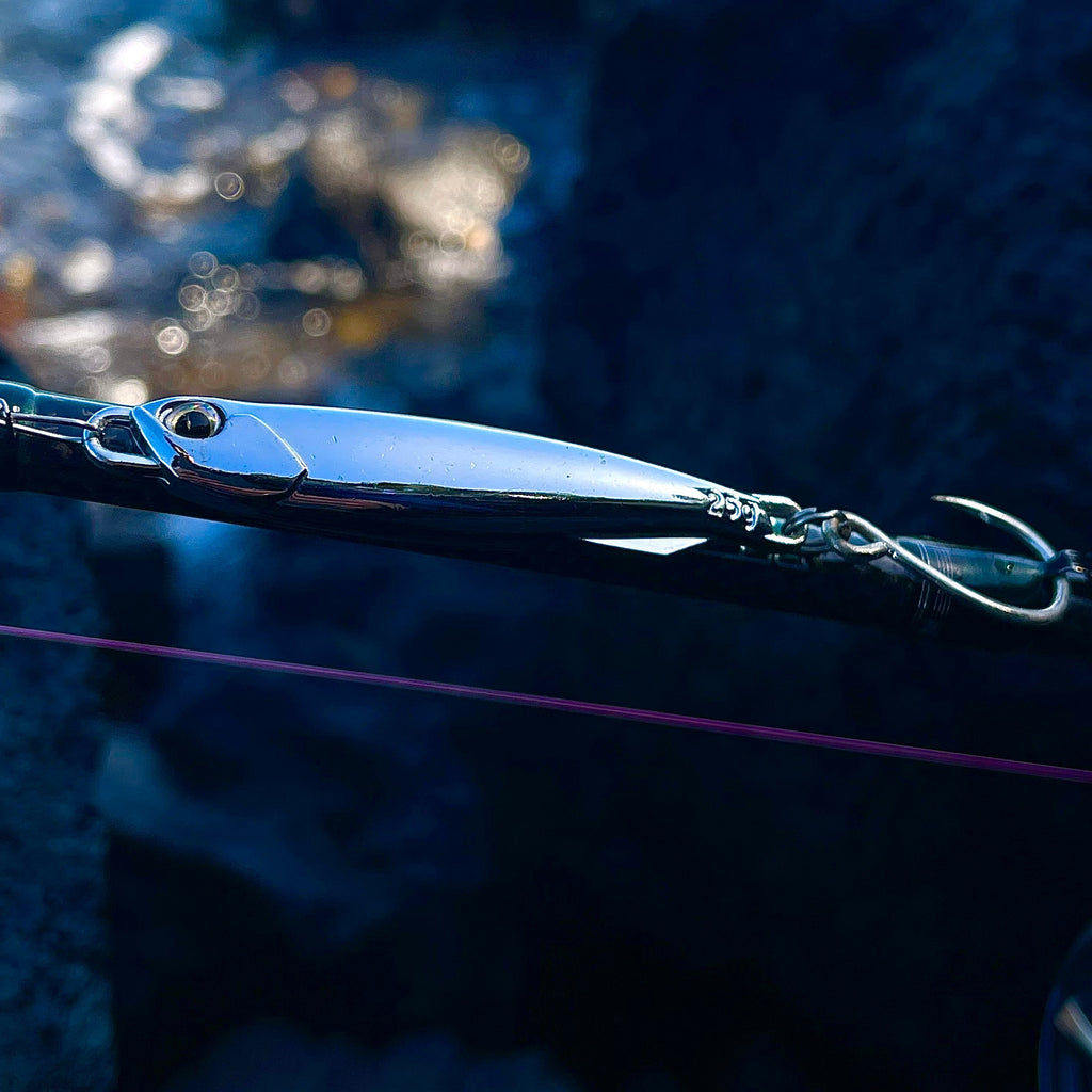 Anchovy Hunter - Kahawai