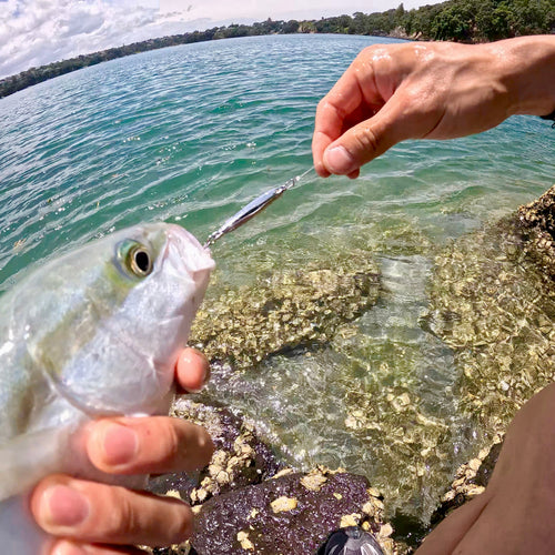 Anchovy Hunter lure in water targeting kingfish — NZ Don Fish Gear