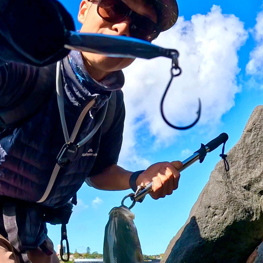 Anchovy Hunter