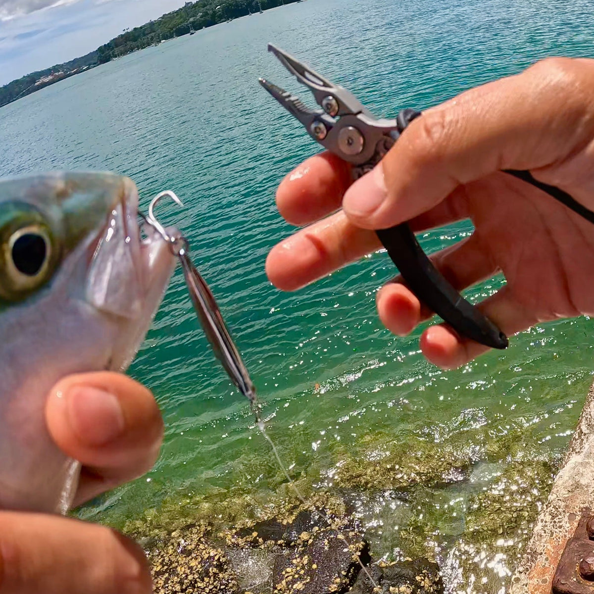 Compact Fishing Plier