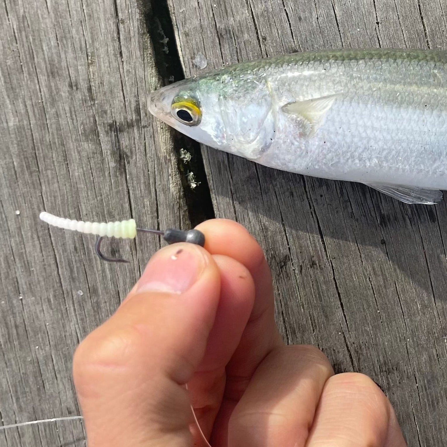 Fishing lure held by a hand on a wooden surface