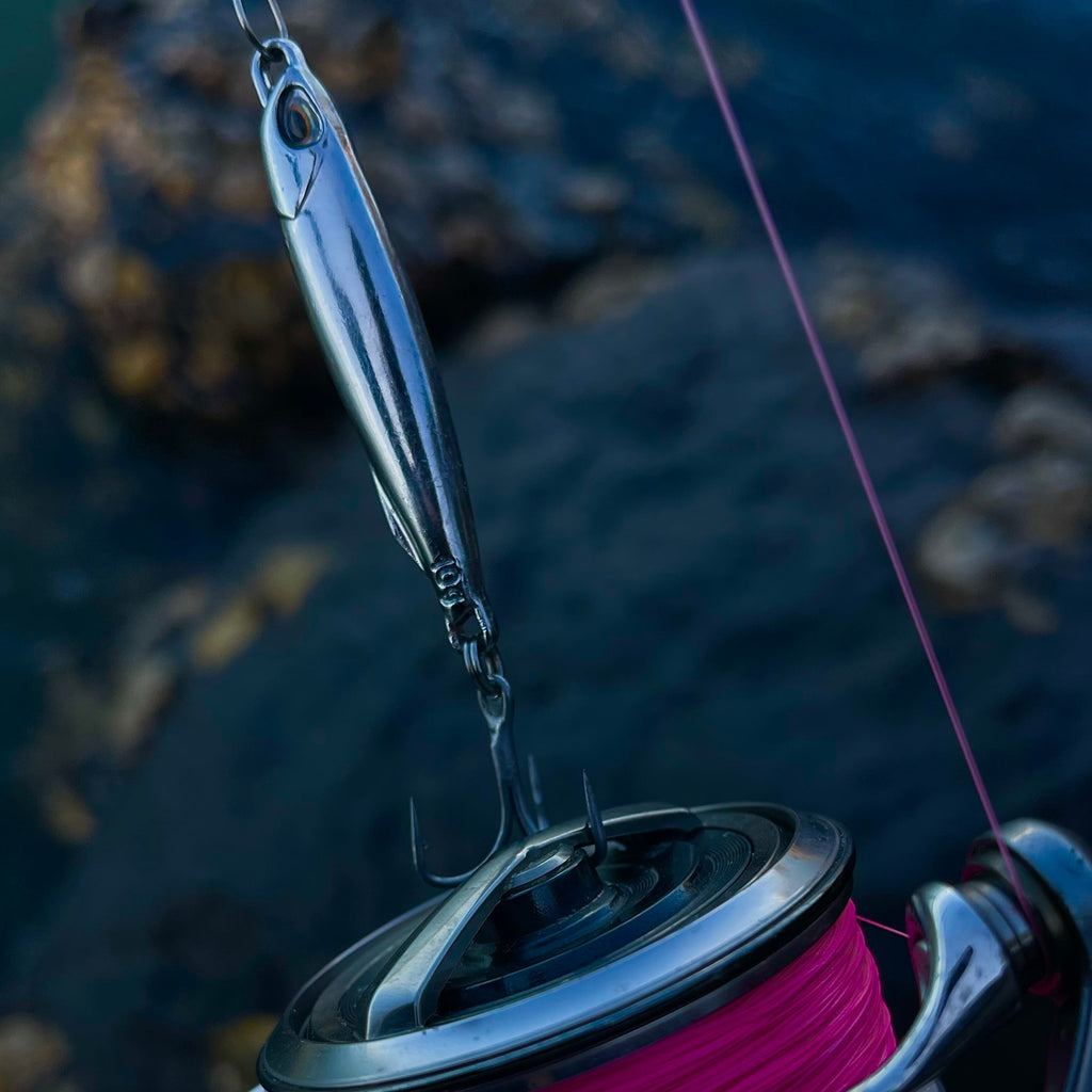 Anchovy Hunter - Kahawai