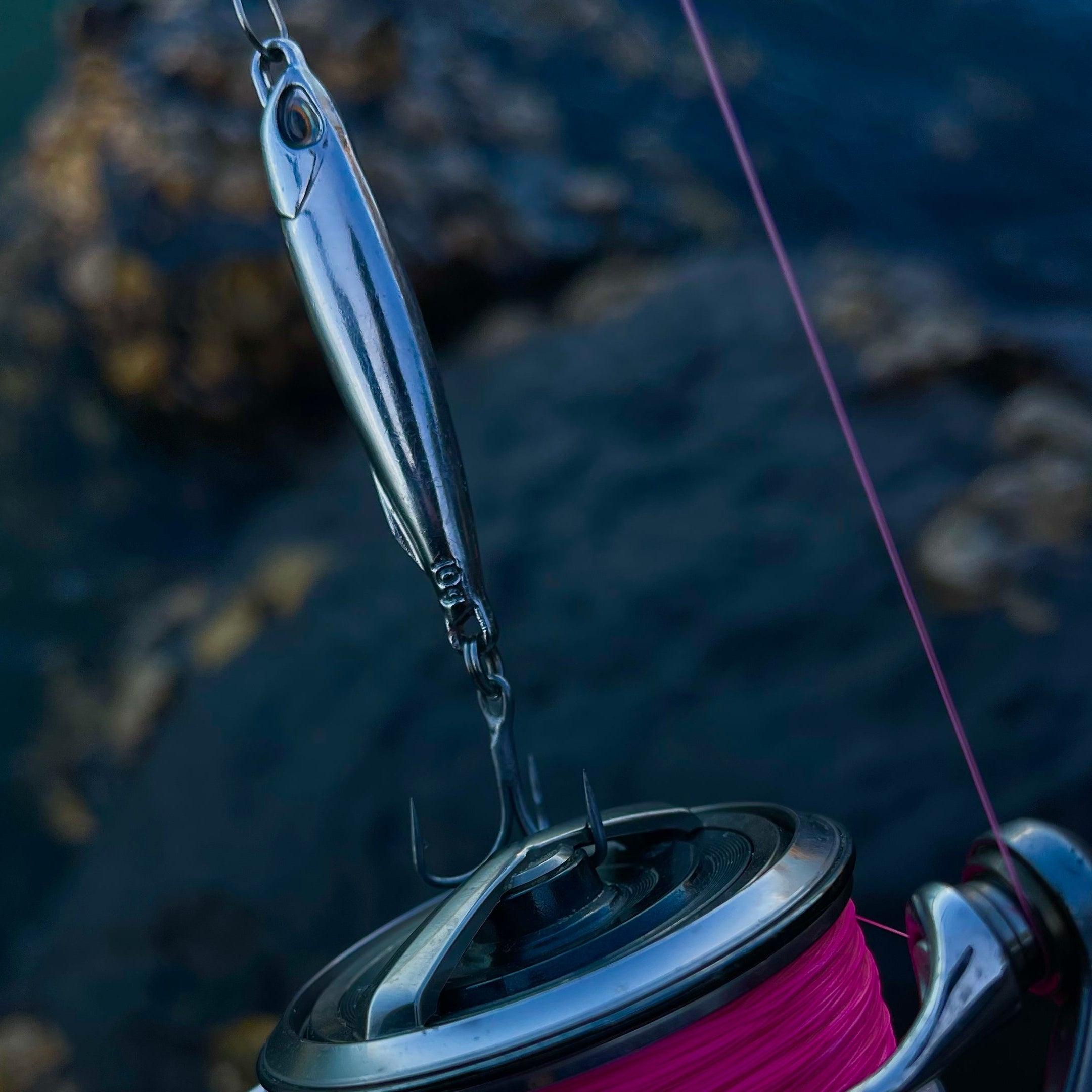 Anchovy Hunter - Kahawai